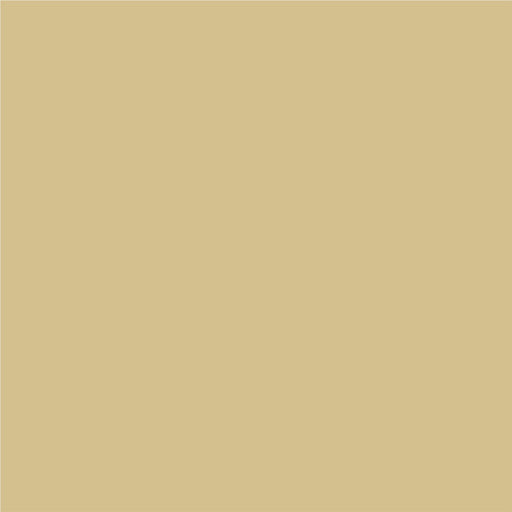 3 IN 1 ENAMEL LACQUER 2.5 L LIGHT BEIGE COLOR PROTECTA - Алкидни и водоразтворими<<<Бои за метал и дърво<<<Бои и