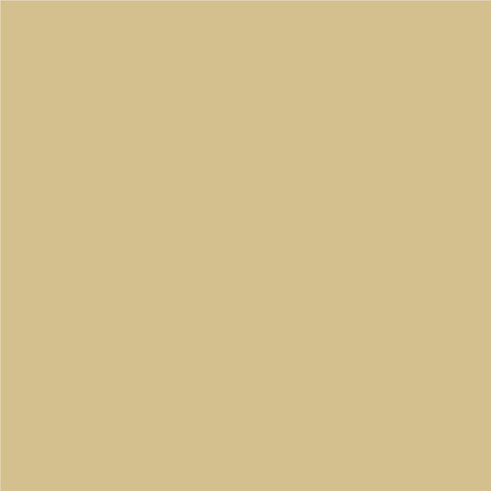 3 IN 1 ENAMEL LACQUER 2.5 L LIGHT BEIGE COLOR PROTECTA - Алкидни и водоразтворими<<<Бои за метал и дърво<<<Бои и