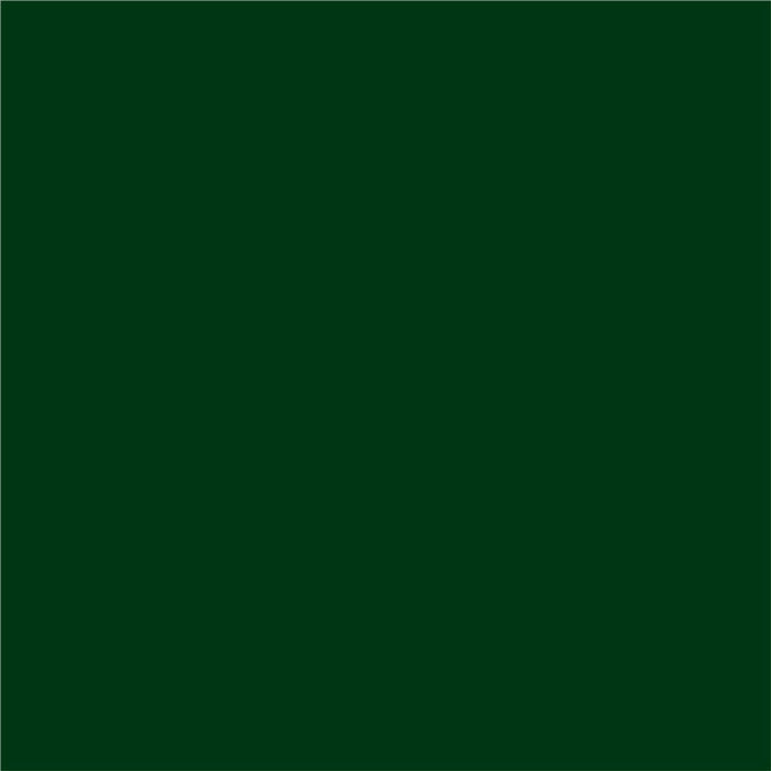 3 IN 1 ENAMEL LACQUER 500 ML DARK GREEN COLOR PROTECTA - Алкидни и водоразтворими<<<Бои за метал и дърво<<<Бои и