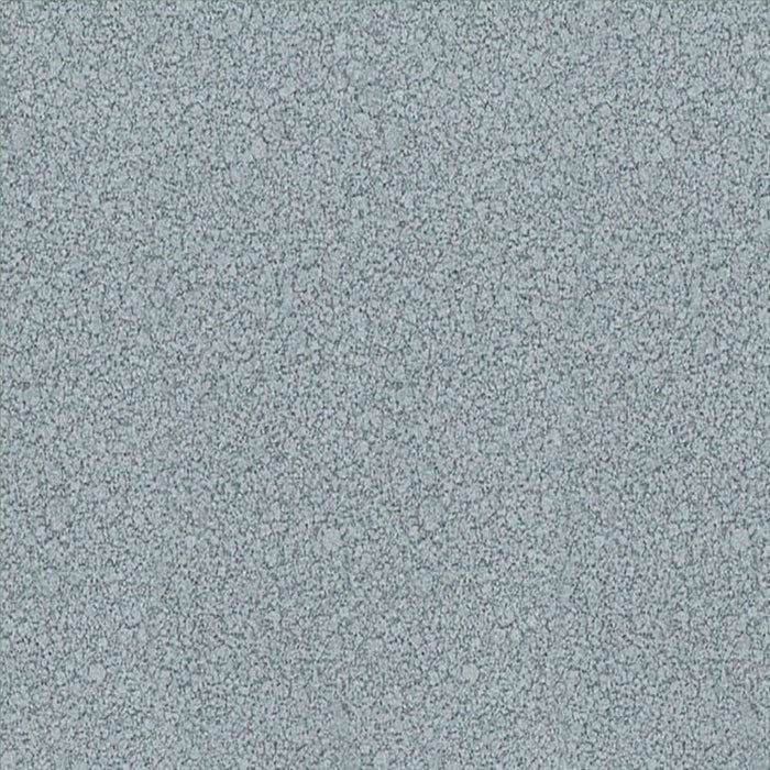 3 IN 1 ENAMEL LACQUER 500 ML DARK SILVER COLOR PROTECTA - Алкидни и водоразтворими<<<Бои за метал и дърво<<<Бои и
