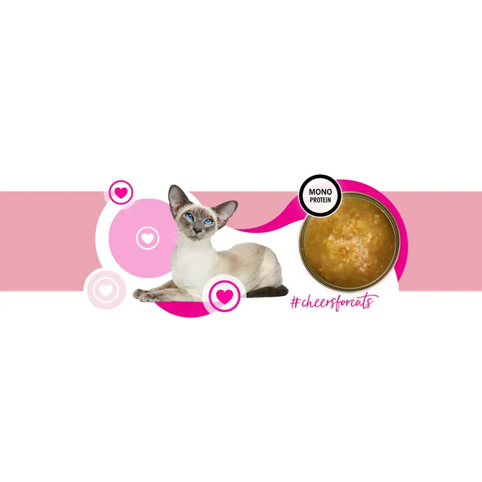 3COTY Cheers! 62. Turkey - wet cat food - 160g - Wet foodDLK-KAM<<<For the catDLK<<<ActionPL