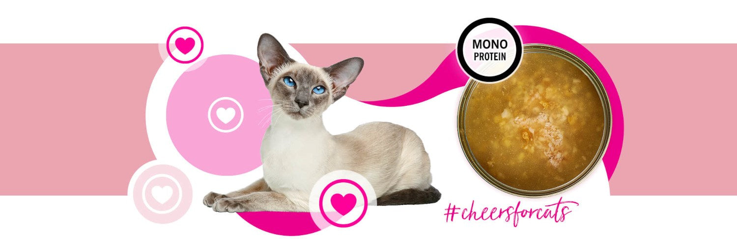 3COTY Turkey Cheers! - wet cat food - 75g