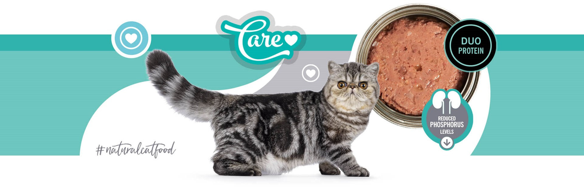 3COTY 53. Chicken + duck Kidney Care - wet cat food - 180g