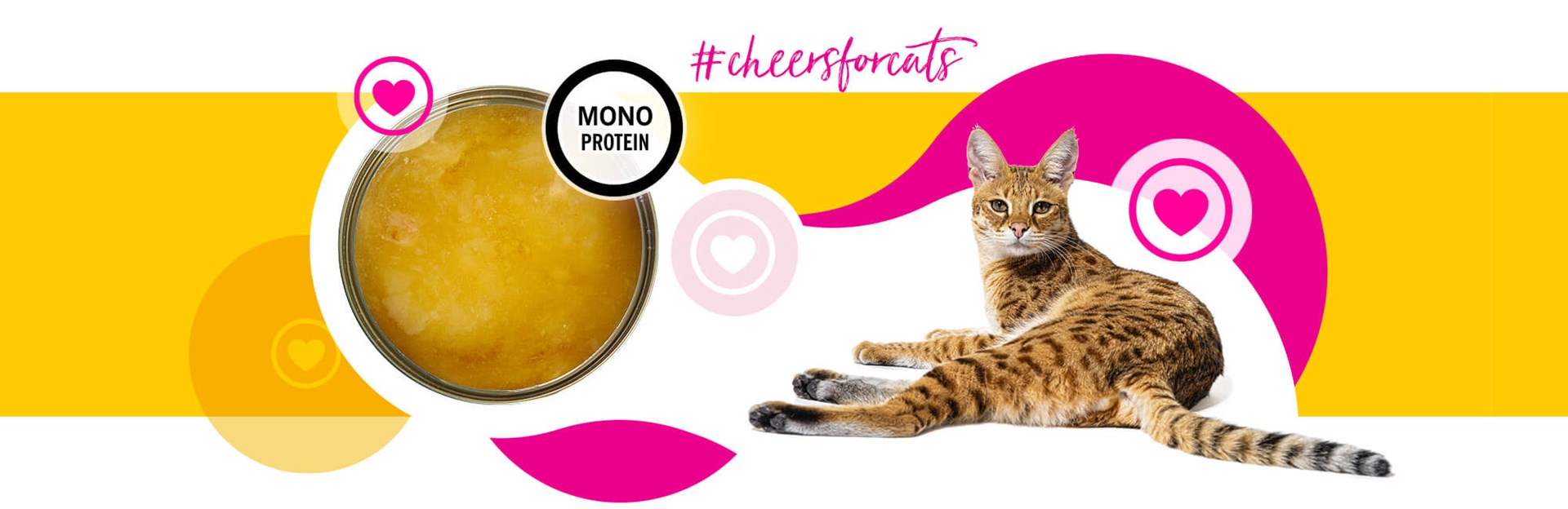 3COTY Cheers! 61. Chicken - wet cat food - 160g