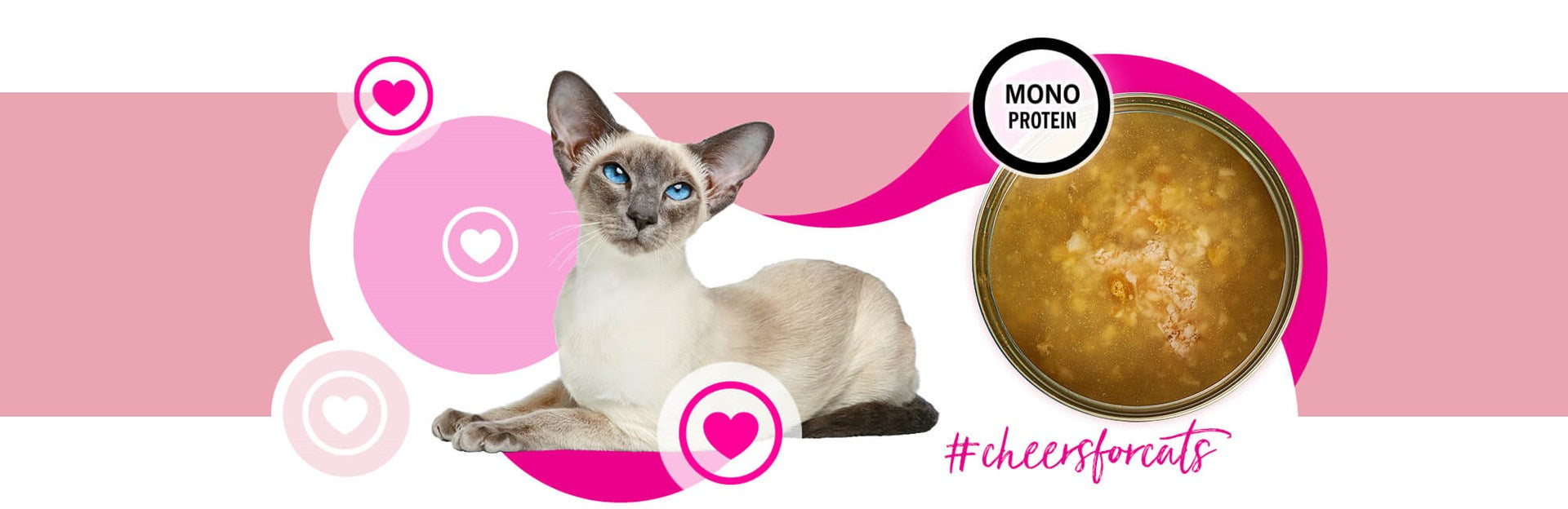3COTY Cheers! 62. Turkey - wet cat food - 160g