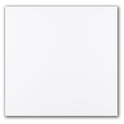 PVC PANEL FOR SUSPENDED CEILING MOISTURE RESISTANT 60X60CM DECOR TRADE WHITE LACQUER