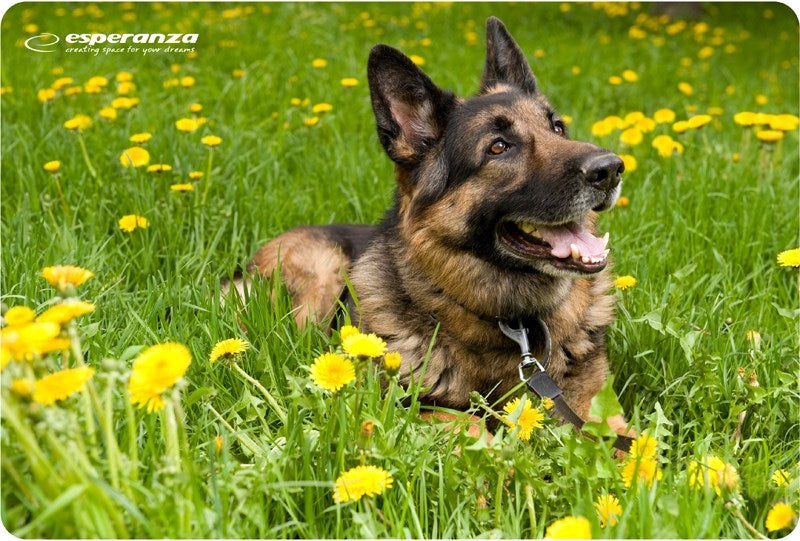 Esperanza EA133 mouse pad Multicolor