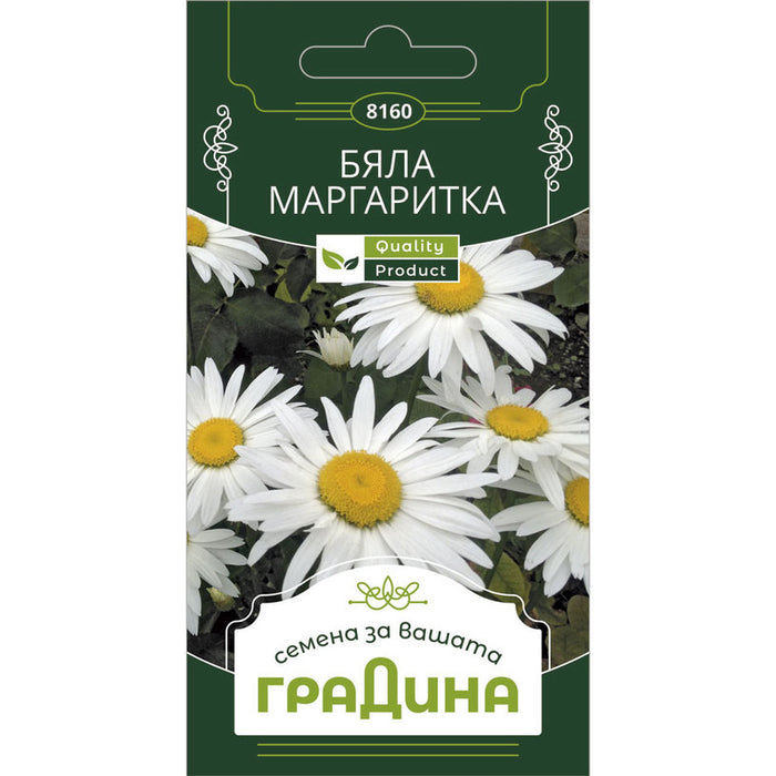 WHITE GARDEN DAISY SEEDS