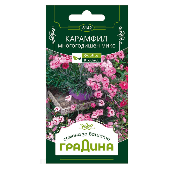 CARNATION SEEDS PERENNIAL GARDEN