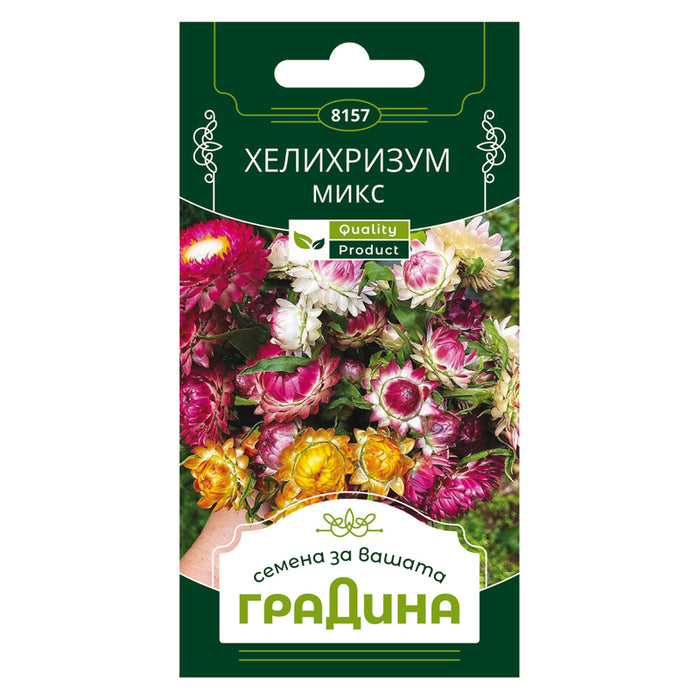 HELICHRYSUM SEEDS GARDEN