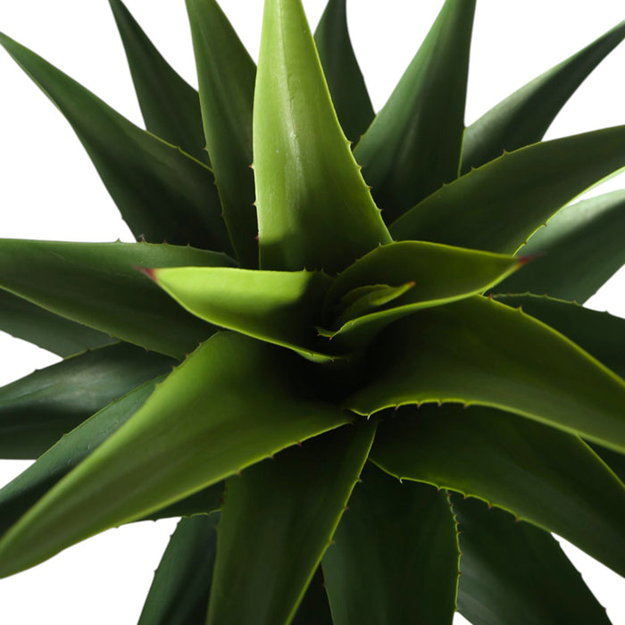 ARTIFICIAL AGAVE PLANT 82CM HD HD-10986