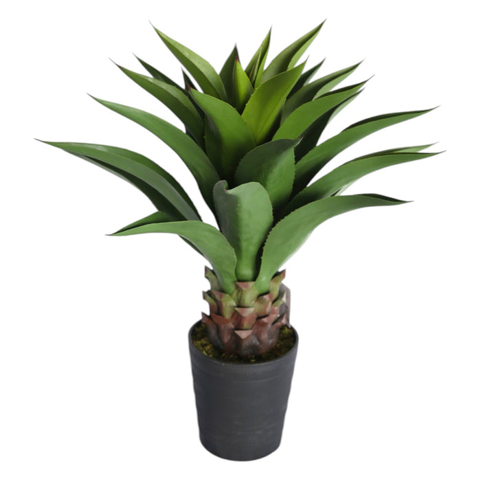 ARTIFICIAL AGAVE PLANT 82CM HD HD-10986