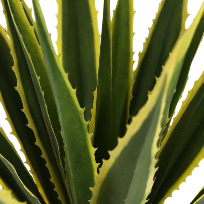 ARTIFICIAL AGAVE PLANT 135CM HD HD-10987