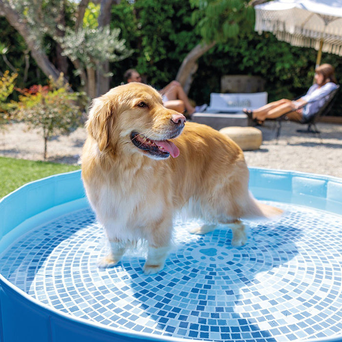 POOL FOR A PET LOVER F152X30CM INTEX 48400NP