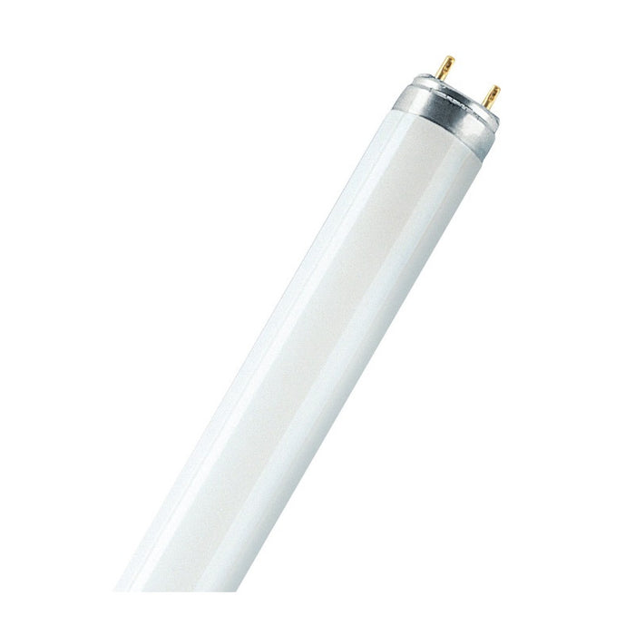 FLUORESCENT LAMP 18W/31-830 LUMILUX PLUS ECO FLOURESCENT LEDVANCE