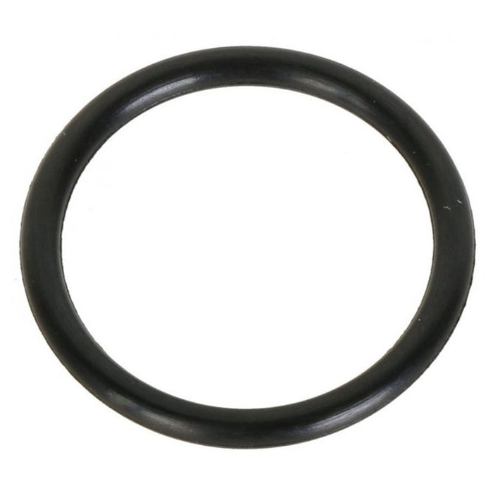 O RING FOR STEAM MARIO10