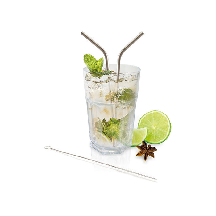 COCKTAIL STRAWS METAL 4 PCS + CLEANING DEVICE NERTHUS