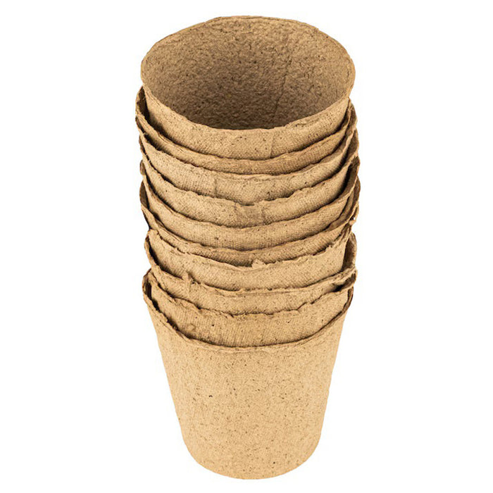 SET OF SEEDLINGS 10PCS, 8X8CM PALISAD 643717
