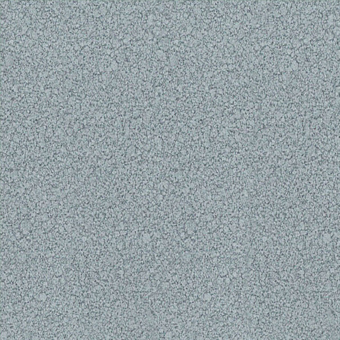 3 IN 1 ENAMEL LACQUER 2.5 L DARK SILVER COLOR PROTECTA