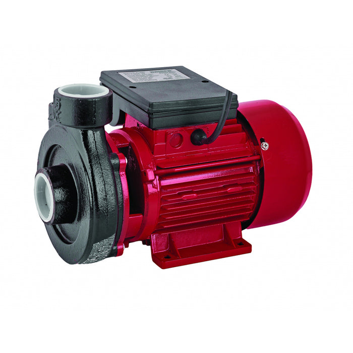 GARDEN PUMP RAIDER RD-1.5DK20