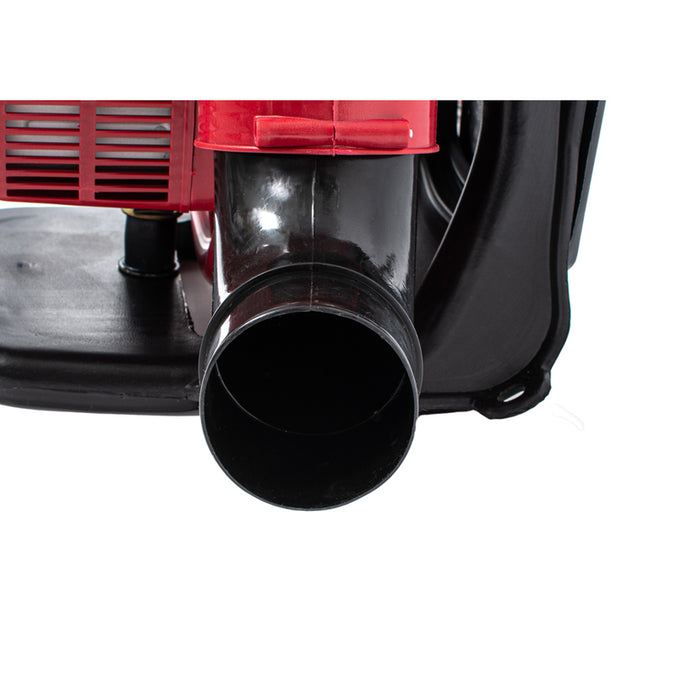 MOTOR SPRAYER 20 LITERS RAIDER RD-KMD01 2-STROKE, 20.00 L