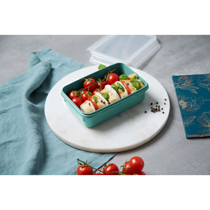 FOOD BOX 0.8 L N1012710 TEFAL MASTERSEAL