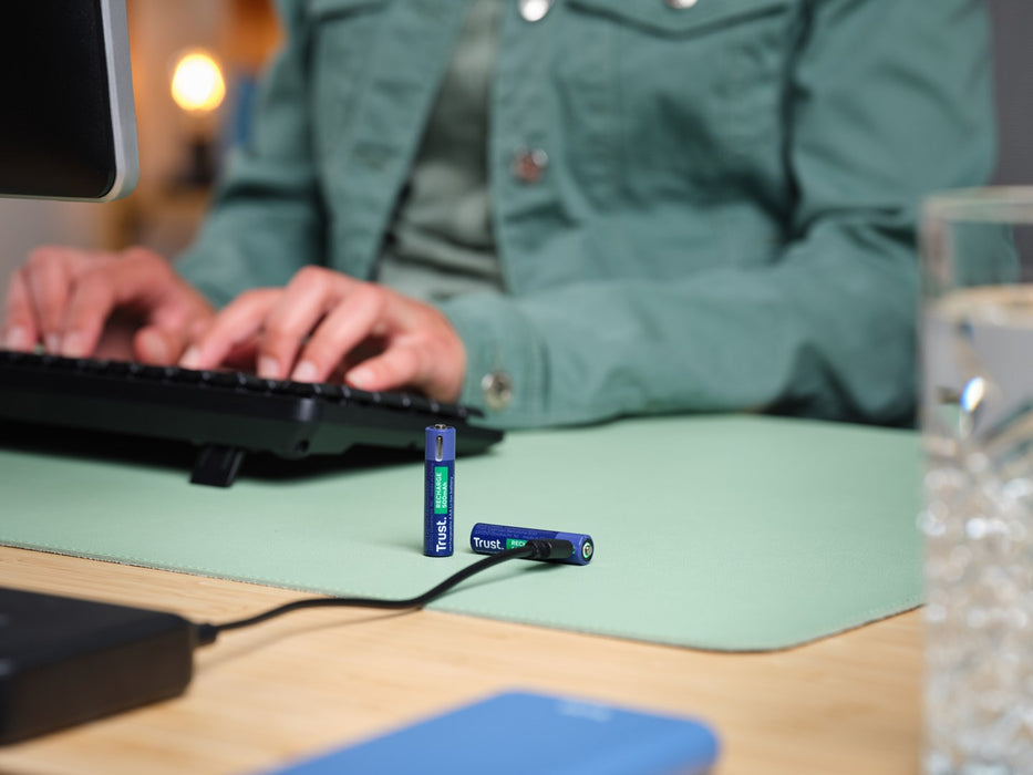 Batteries Trust 25585