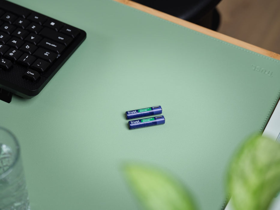 Batteries Trust 25585