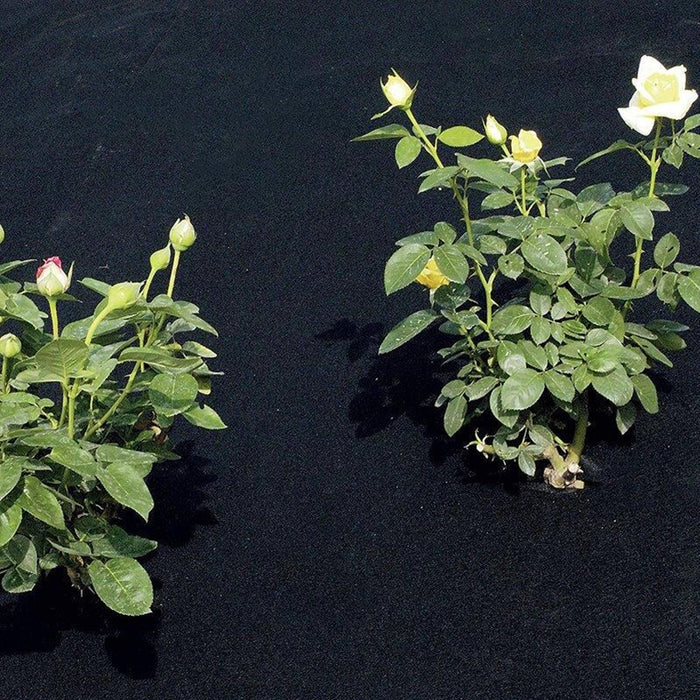 COVER AGAINST WEEDS 1.8X3M TENAX FULL COVER LIGHT