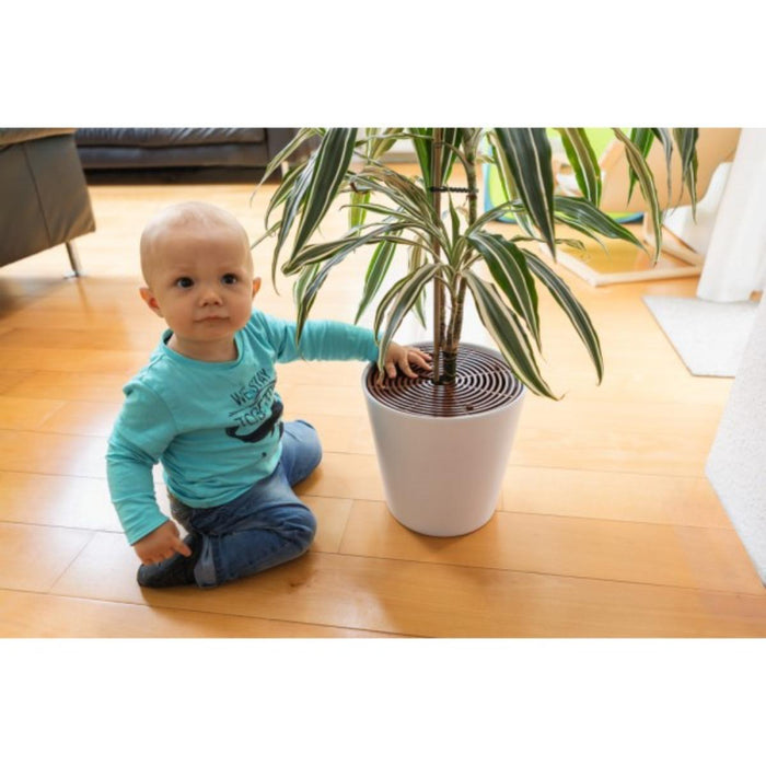 NOAH FLOWER POT PROTECTOR