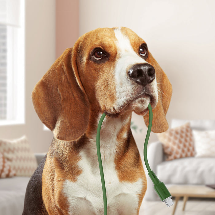 Acefast C2-03-CC USB-C - USB-C PD QC cable 60W 3A 480Mb/s 1.2m - green