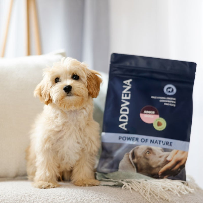 ADDVENA Power of Nature Junior Small Lamb - dry dog food - 10kg