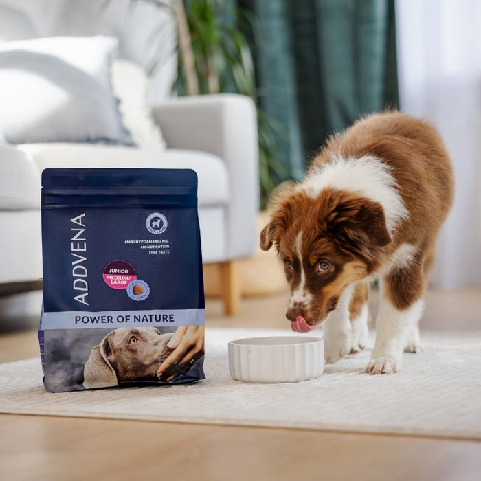 ADDVENA Power of Nature Junior Medium/Large Lamb - dry dog food - 2,5kg