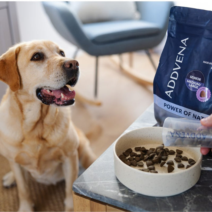 ADDVENA Power of Nature Senior Medium/Large Lamb - dry dog food - 2,5kg