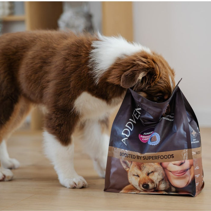 ADDVENA Boosted by superfoods Junior Medium/Large Beef - dry dog food - 2,5kg