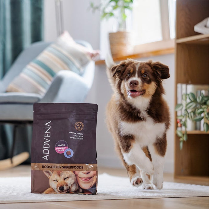 ADDVENA Boosted by superfoods Junior Medium/Large Beef - dry dog food - 10kg