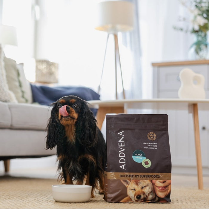 ADDVENA Boosted by superfoods Adult Small Beef - dry dog food - 10kg