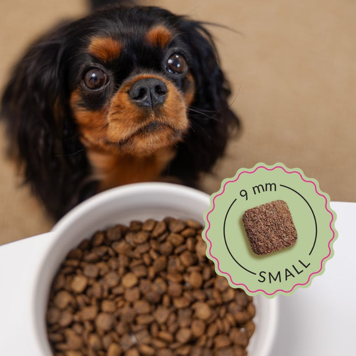 ADDVENA Boosted by superfoods Adult Small Beef - dry dog food - 10kg