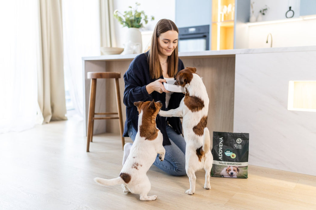ADDVENA Taste Sensations Adult Small Turkey - dry dog food - 2,5kg