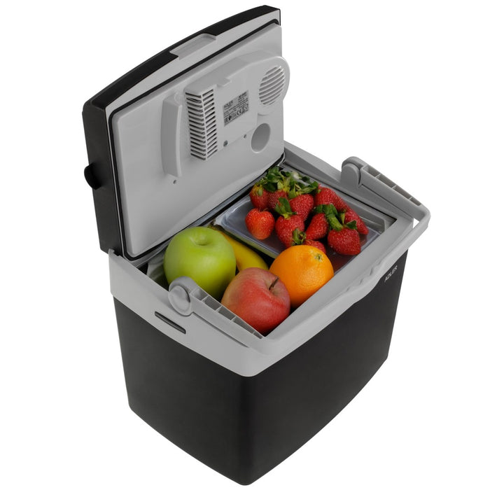 Tourist fridge ADLER AD 8091