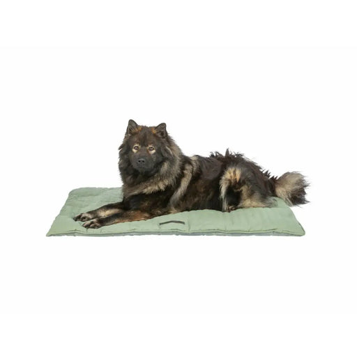 Airbed Trixie 70 × 50 cm Dog - Домашни Животни<<<Дом Градина<<<BigBuy&&&Къщички и легълца<<<Домашни Животни<<<Дом