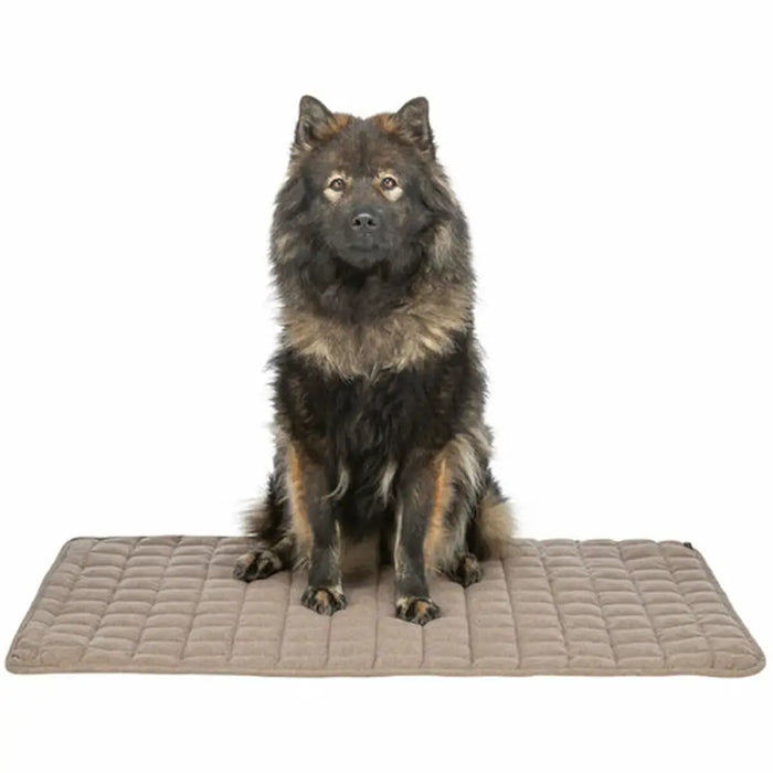 Airbed Trixie Brown 80 × 60 cm Dog - Домашни Животни<<<Дом Градина<<<BigBuy&&&Къщички и легълца<<<Домашни Животни<<<Дом