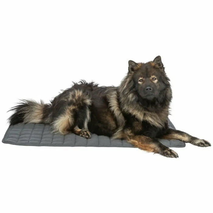 Airbed Trixie Dark grey 60 × 50 cm Dog - Домашни Животни<<<Дом Градина<<<BigBuy&&&Къщички и легълца<<<Домашни