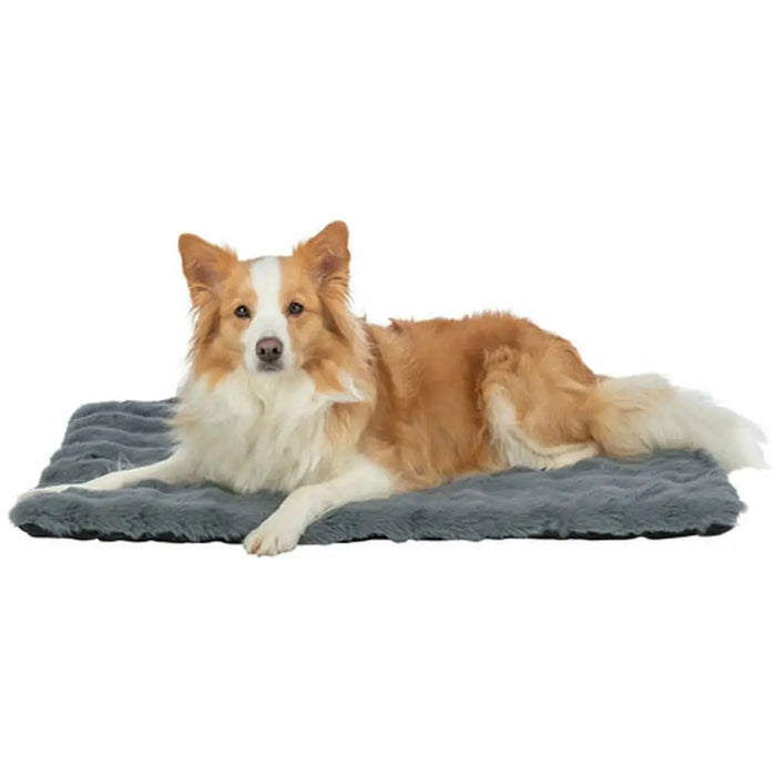 Airbed Trixie Dark grey 70 × 50 cm Dog - Домашни Животни<<<Дом Градина<<<BigBuy&&&Къщички и легълца<<<Домашни