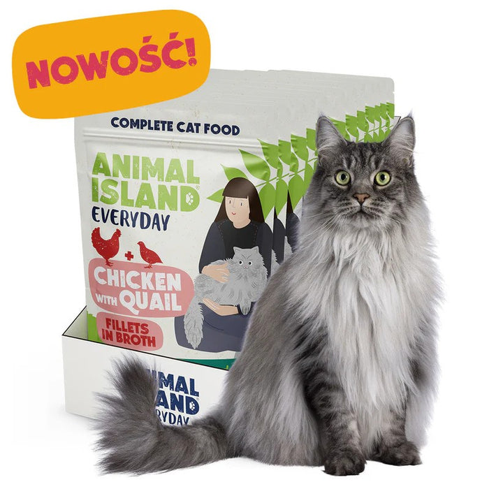 ANIMAL ISLAND Chicken with quail Fillets in broth - wet cat food - 12x85g
