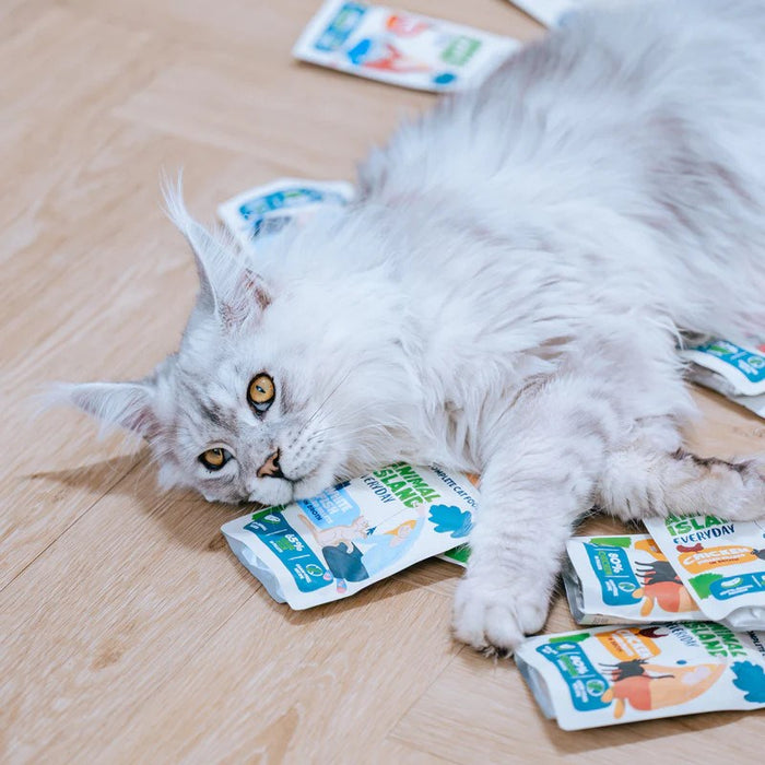 ANIMAL ISLAND White fish in broth - wet cat food - 40x85g