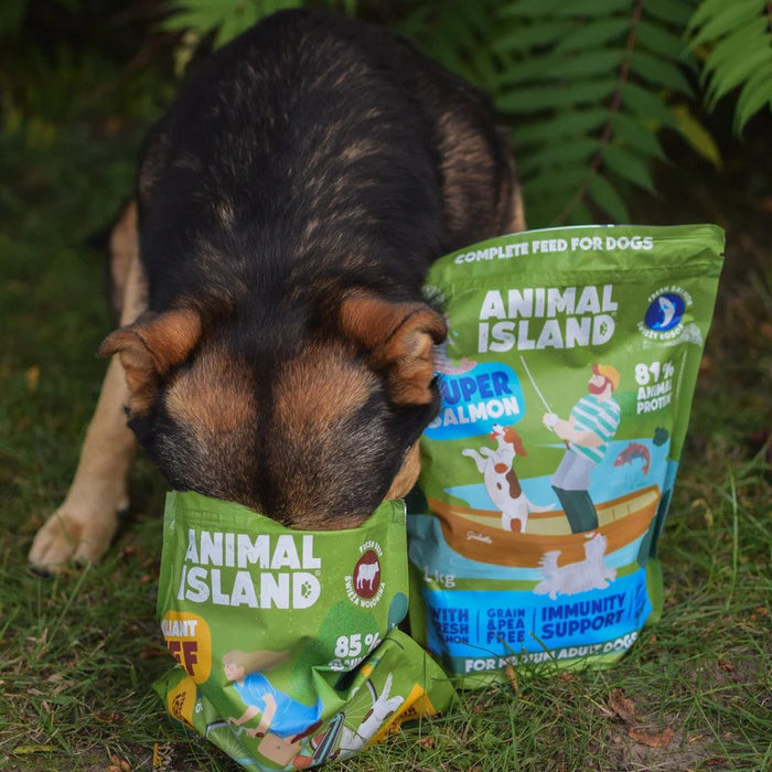 ANIMAL ISLAND Salmon - dry dog food - 1kg