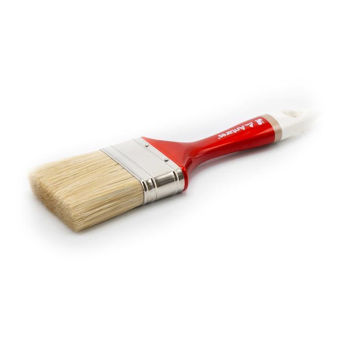 APOLO PROFESSIONAL BRUSH THICK 2.5" / 63.5 MM ANTARES