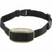 Anti-bark collar PetSafe Black noir - Домашни Животни<<<Дом Градина<<<BigBuy&&&Здраве и хигиена<<<Домашни Животни<<<Дом