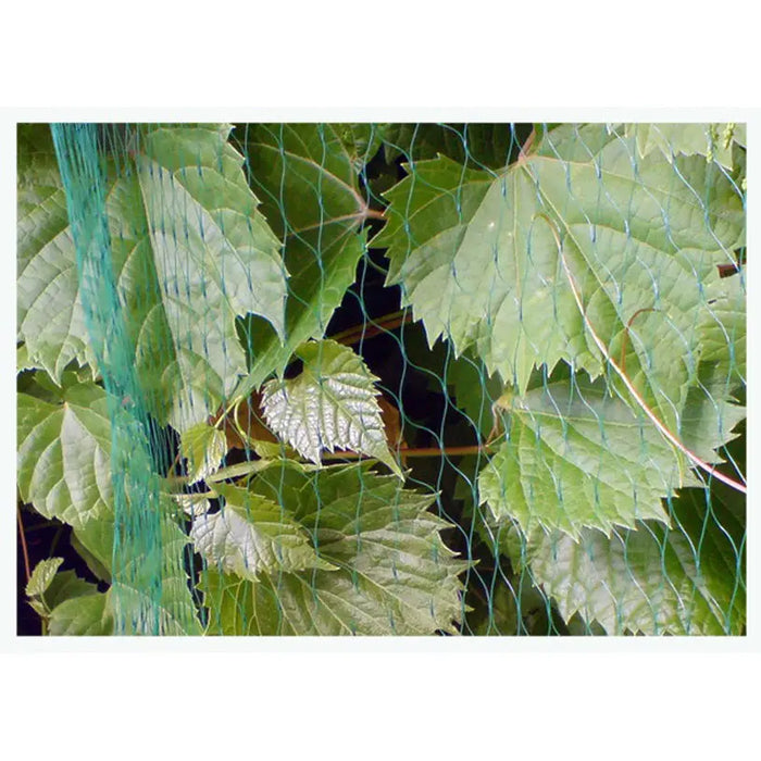 ANTI-BIRD NETTING 3X5M BRADAS AS-BN71919305 - Предпазни мрежи<<<Мрежи и огради<<<Градина<<<Praktiker&&&Предпазни